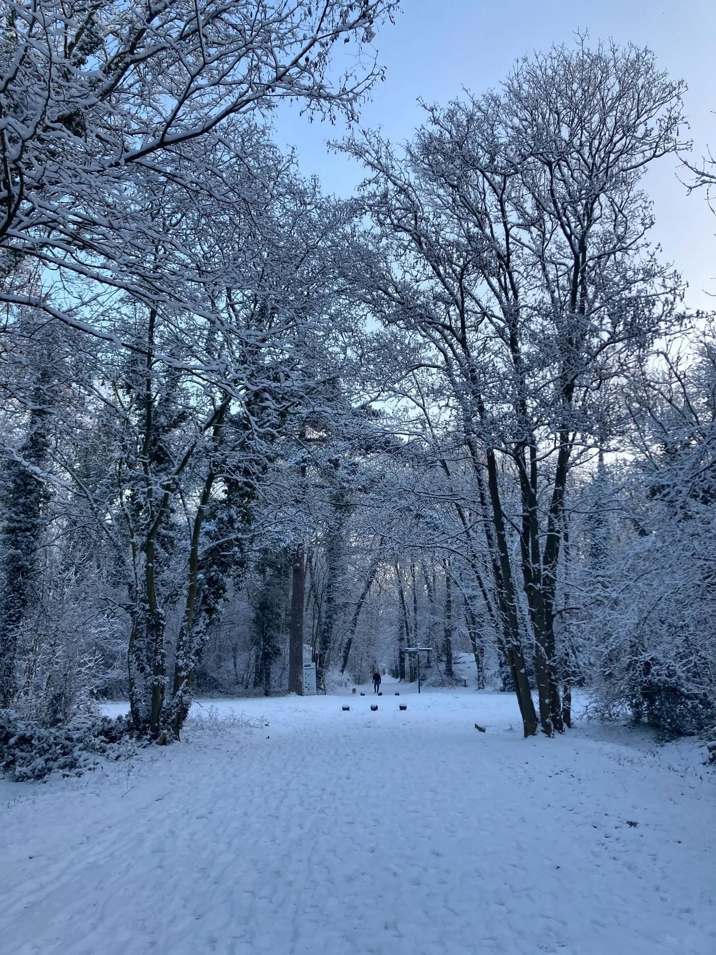 Chaque nouvelle ann&eacute;e je choisis mon &laquo;&nbsp;mot de l&rsquo;ann&eacute;e&nbsp;&raquo; - une intention que j&rsquo;essaie d&rsquo;appliquer et dont je me souviens aux moments difficiles.
Pour 2026, j&rsquo;ai choisi DOUCEUR et je trouve qu