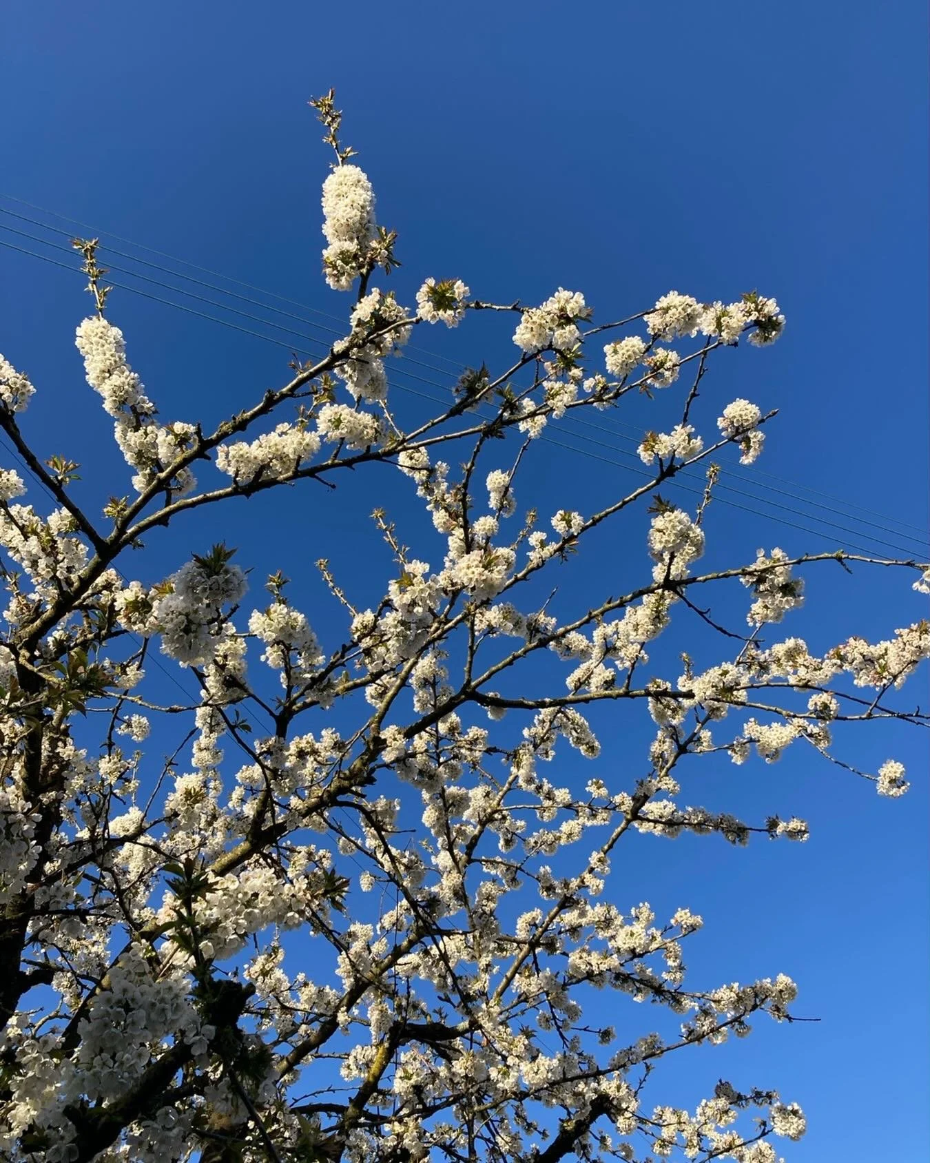 Prenez du soleil
Dans le creux des mains,
Un peu de soleil
Et partez au loin !

Partez dans le vent,
Suivez votre r&ecirc;ve,
Partez &agrave; l&rsquo;instant,
La jeunesse est br&egrave;ve ! 

Il est des chemins
inconnus des hommes,
Il est des chemins
