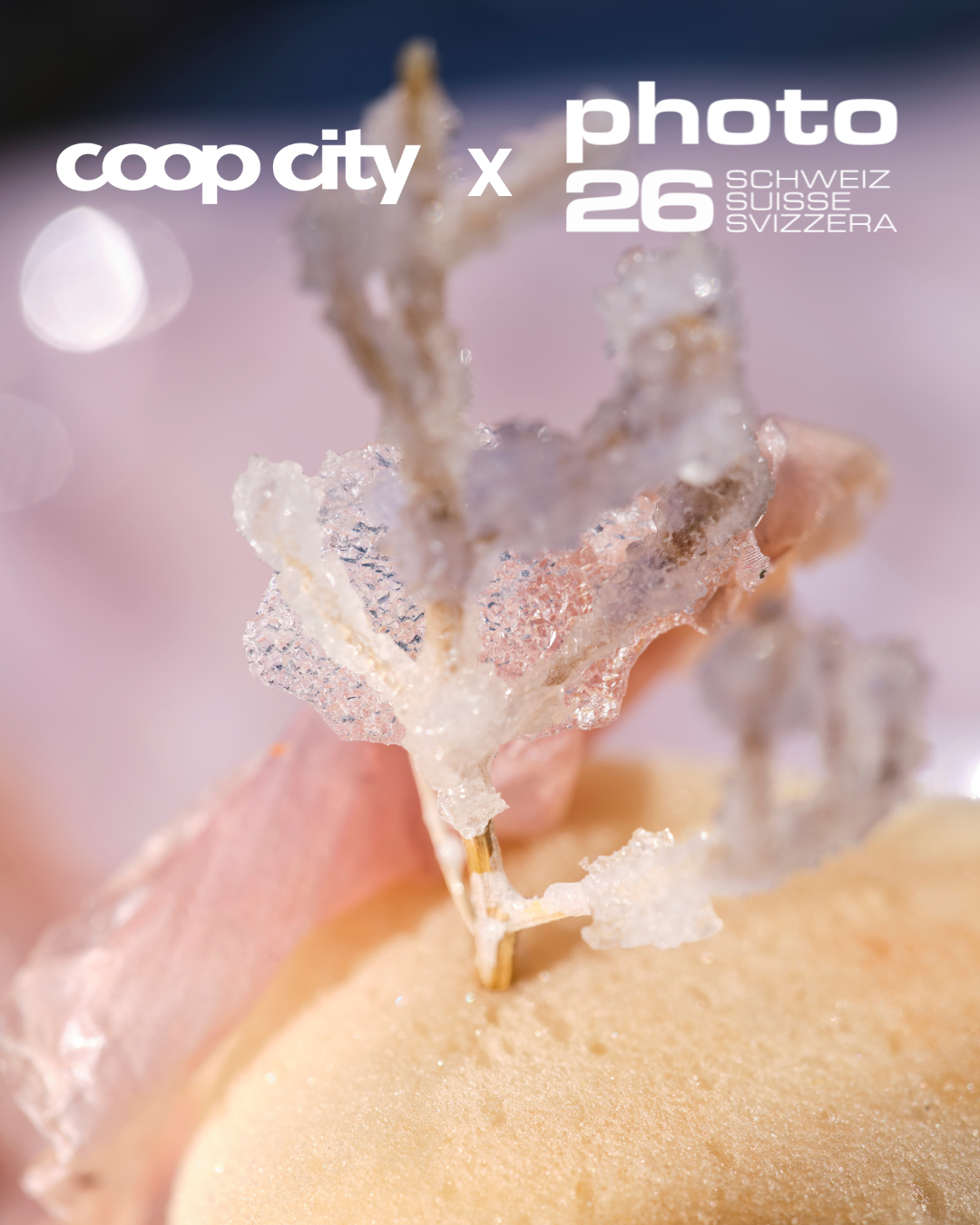 Special Showcase Coop City X photoSCHWEIZ 