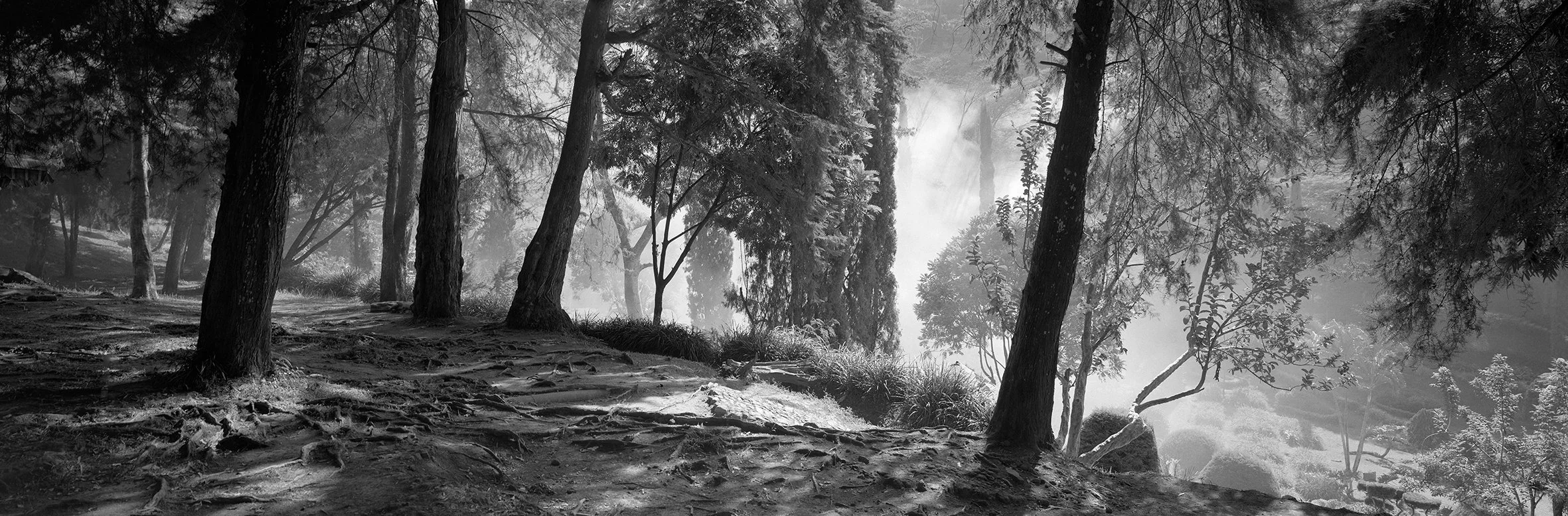 Heliogravur - Edy Brunner