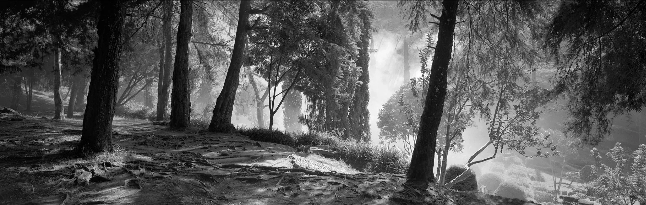 Heliogravur - Edy Brunner