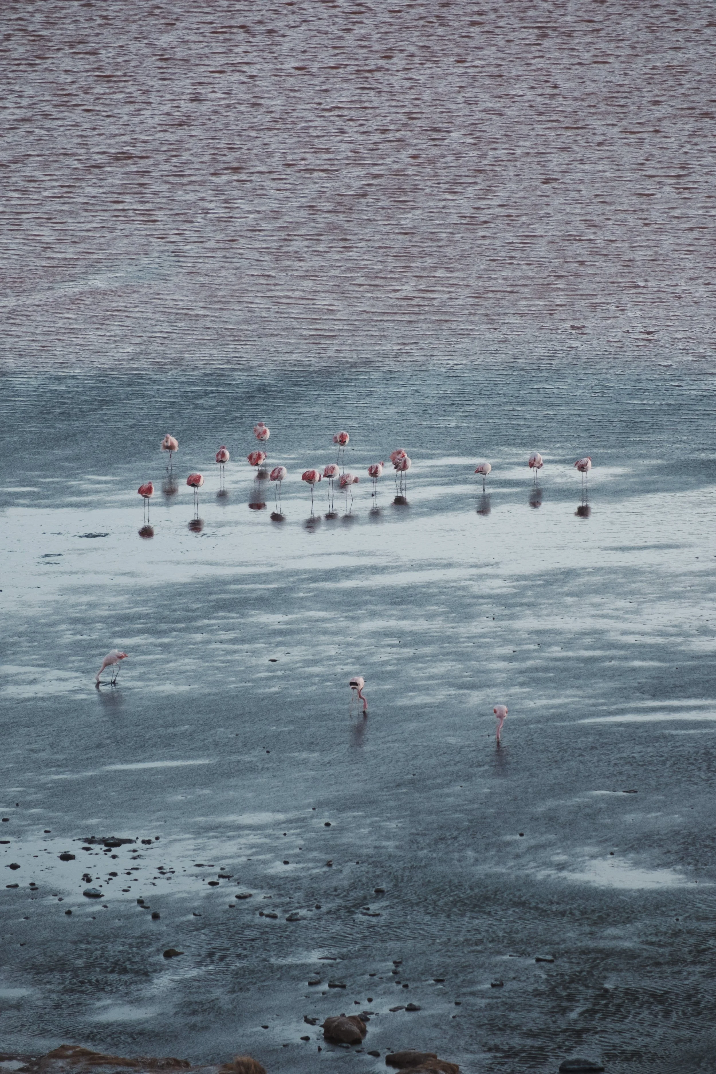 Intentional Editing – Bilder bewusst gestalten mit Lightroom