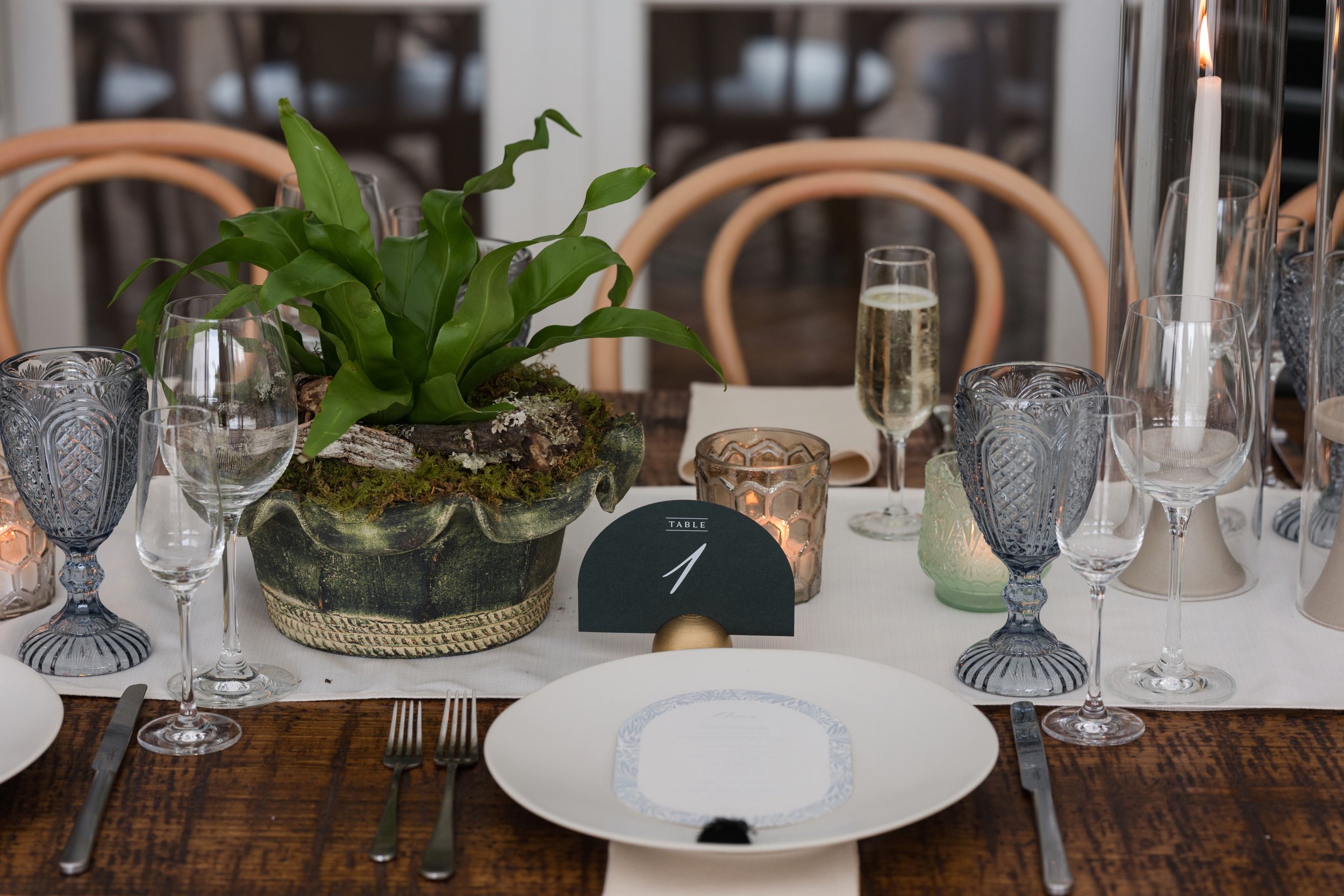 0836_Hoff_Tricia_McCormack_Photography (1).jpg