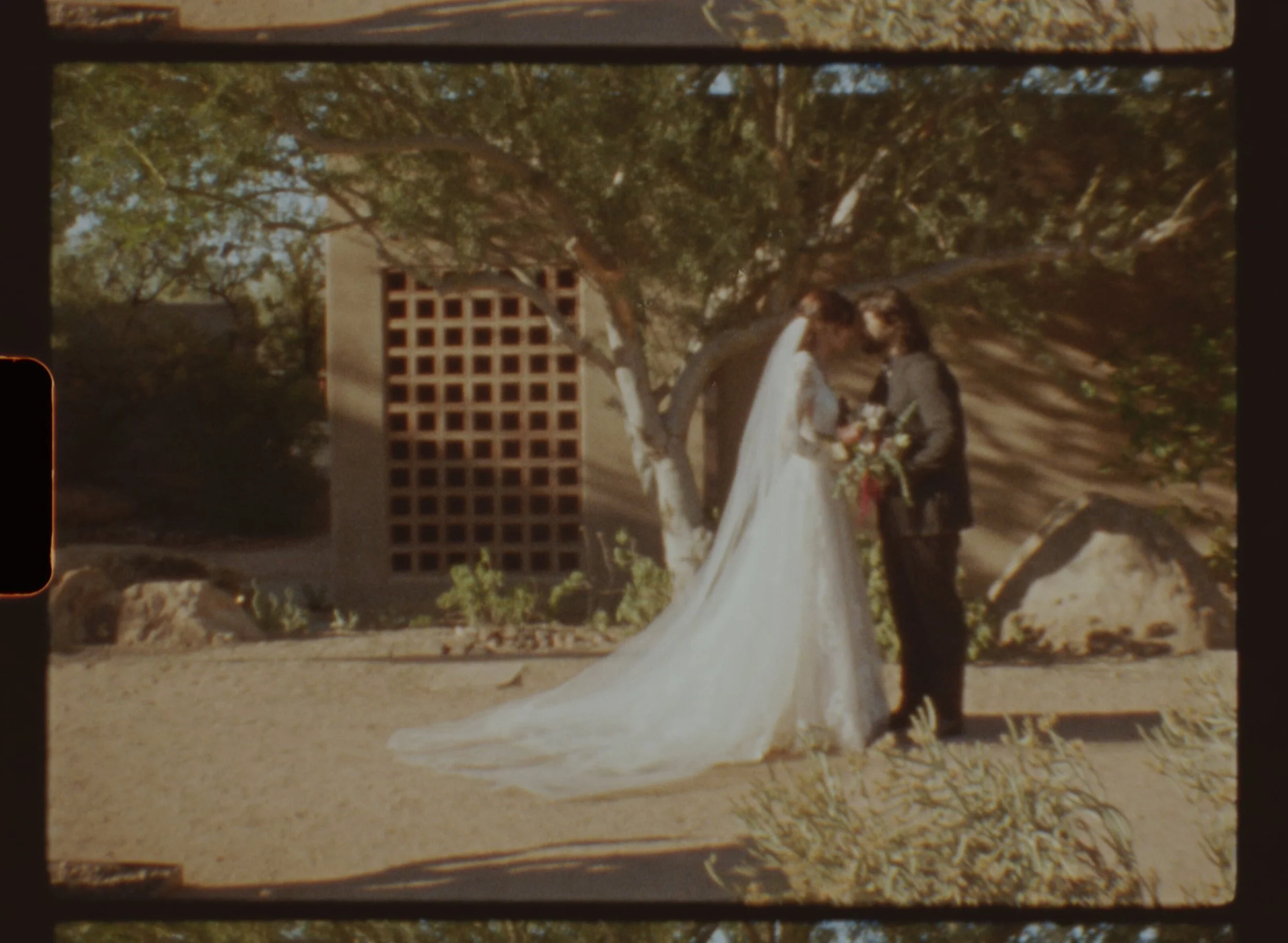desert_botanical_gardens_wedding_super_8_videography.jpg