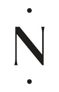 Vertical letter 'N' with dots above and below