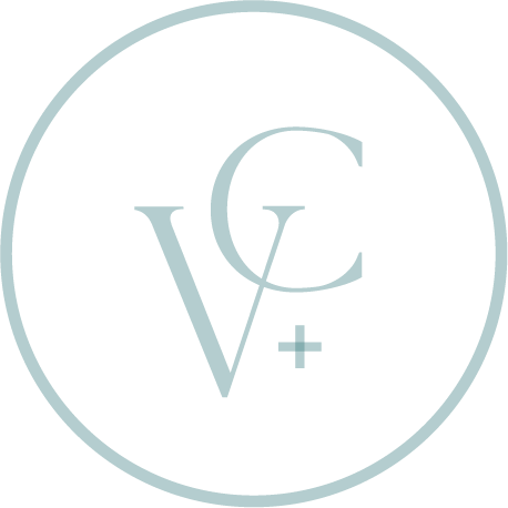 A logo with the letters V and G inside a circle, with a plus sign near the G.
