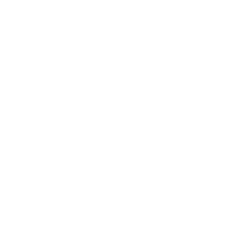 The image is blank with no visible objects or details.