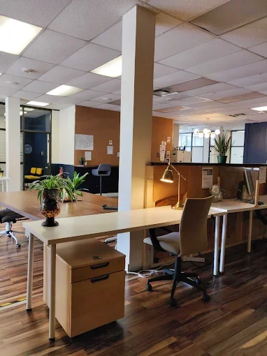 Empty office workspace with desks, chairs, potted plants, and a corner with lamps and windows.