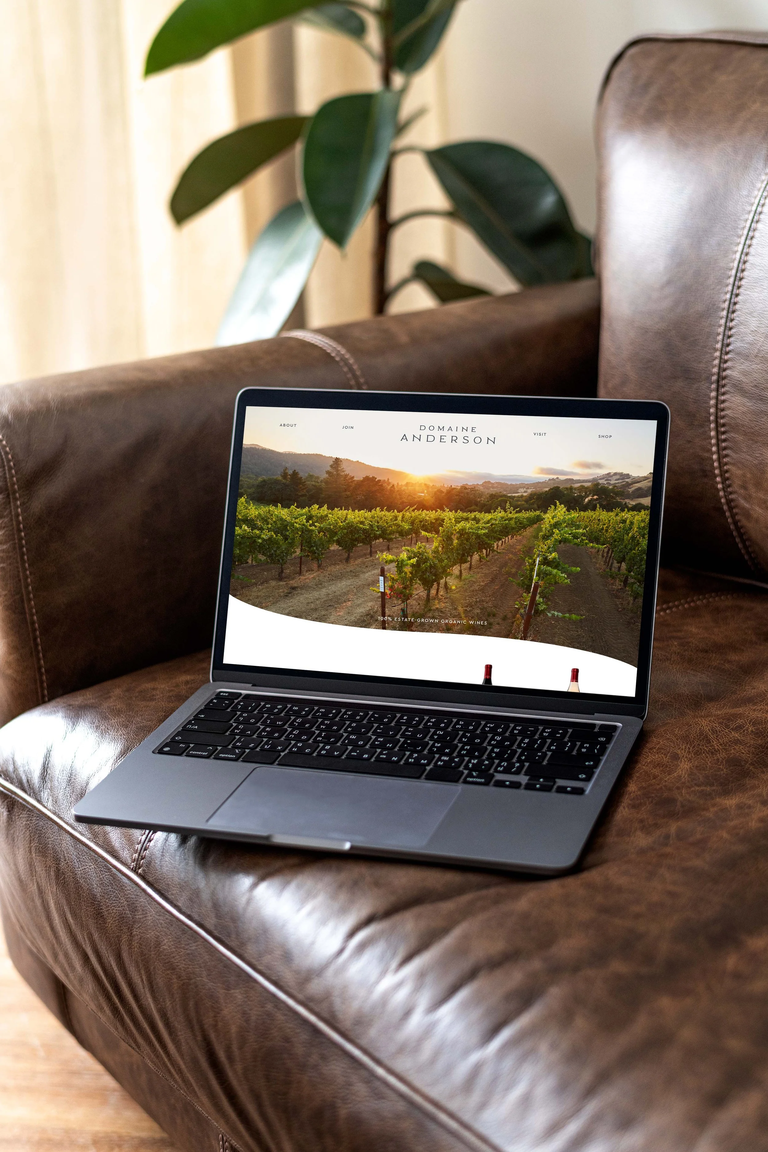 Domaine Anderson website desktop