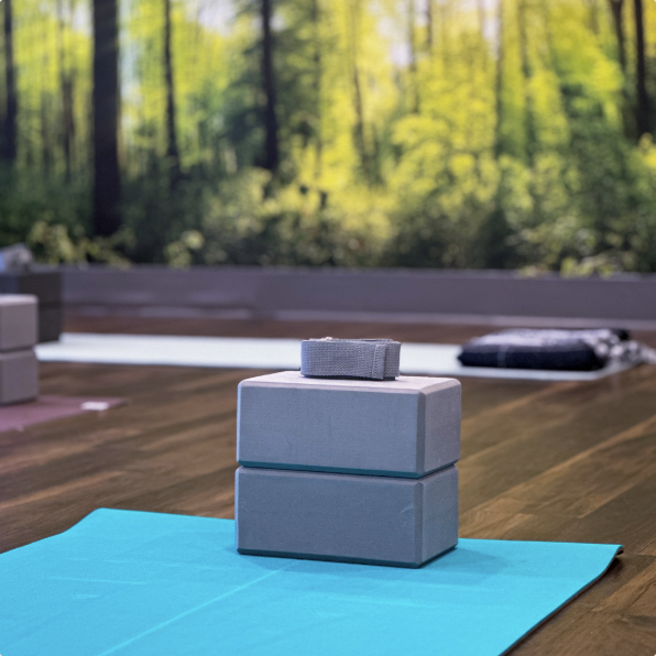 Vinyasa Flow Yoga Class