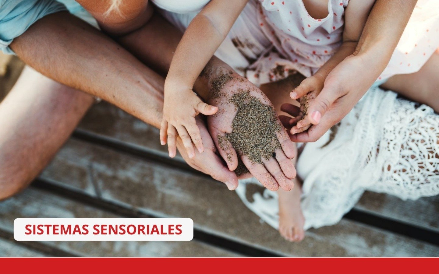 Sistemas Sensoriales