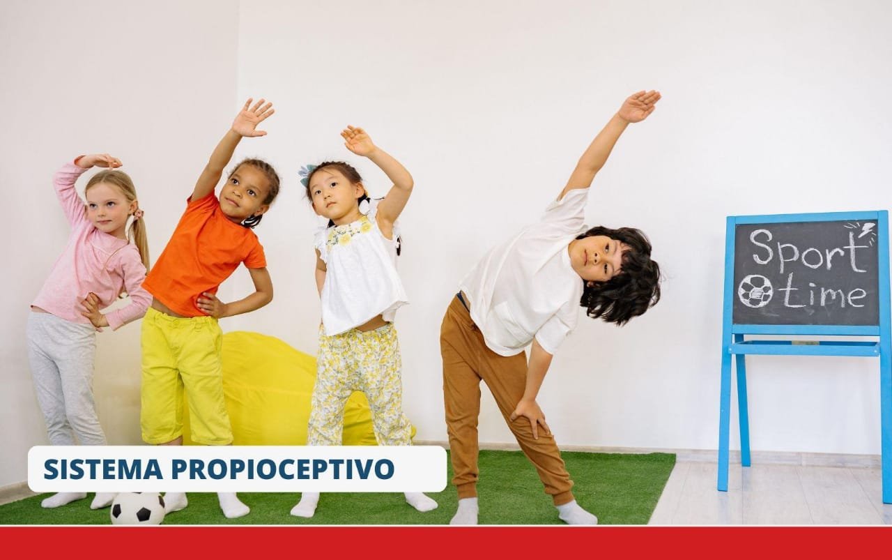 Sistema Propioceptivo
