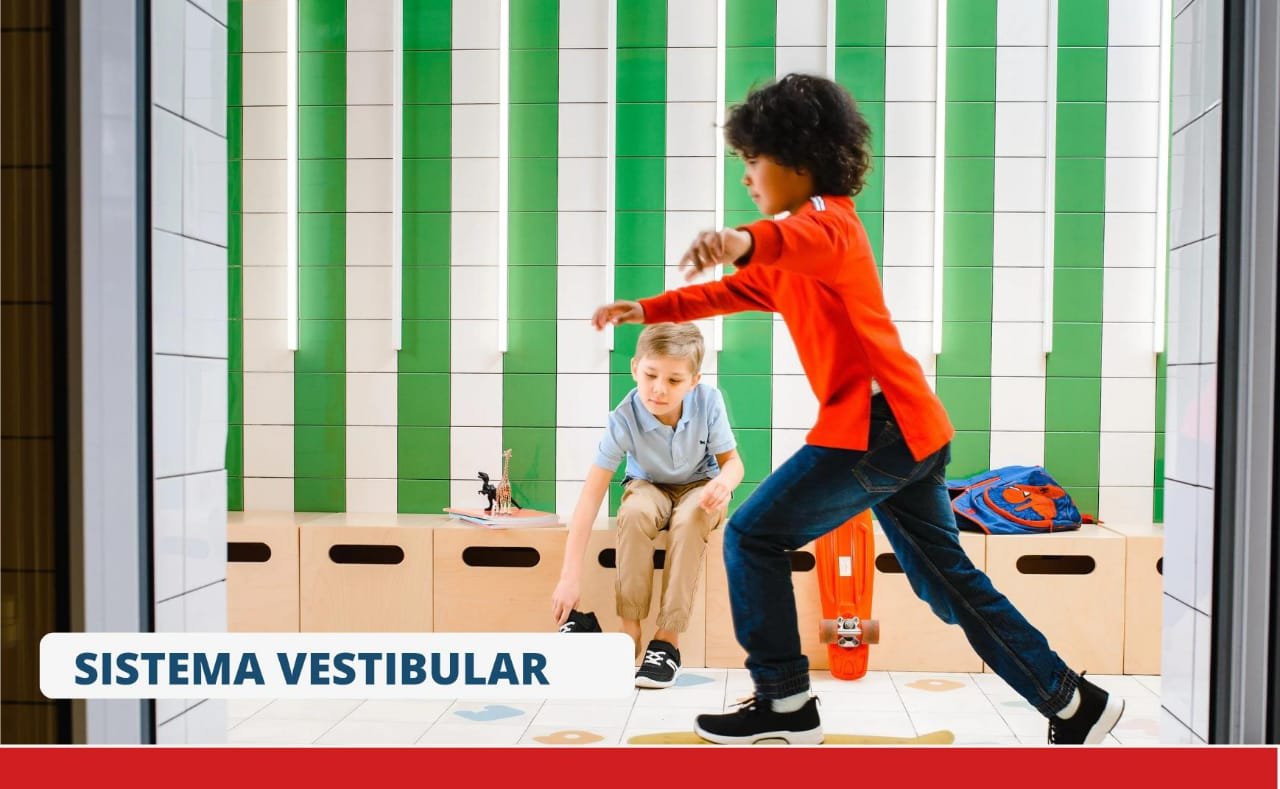 Sistema Vestibular