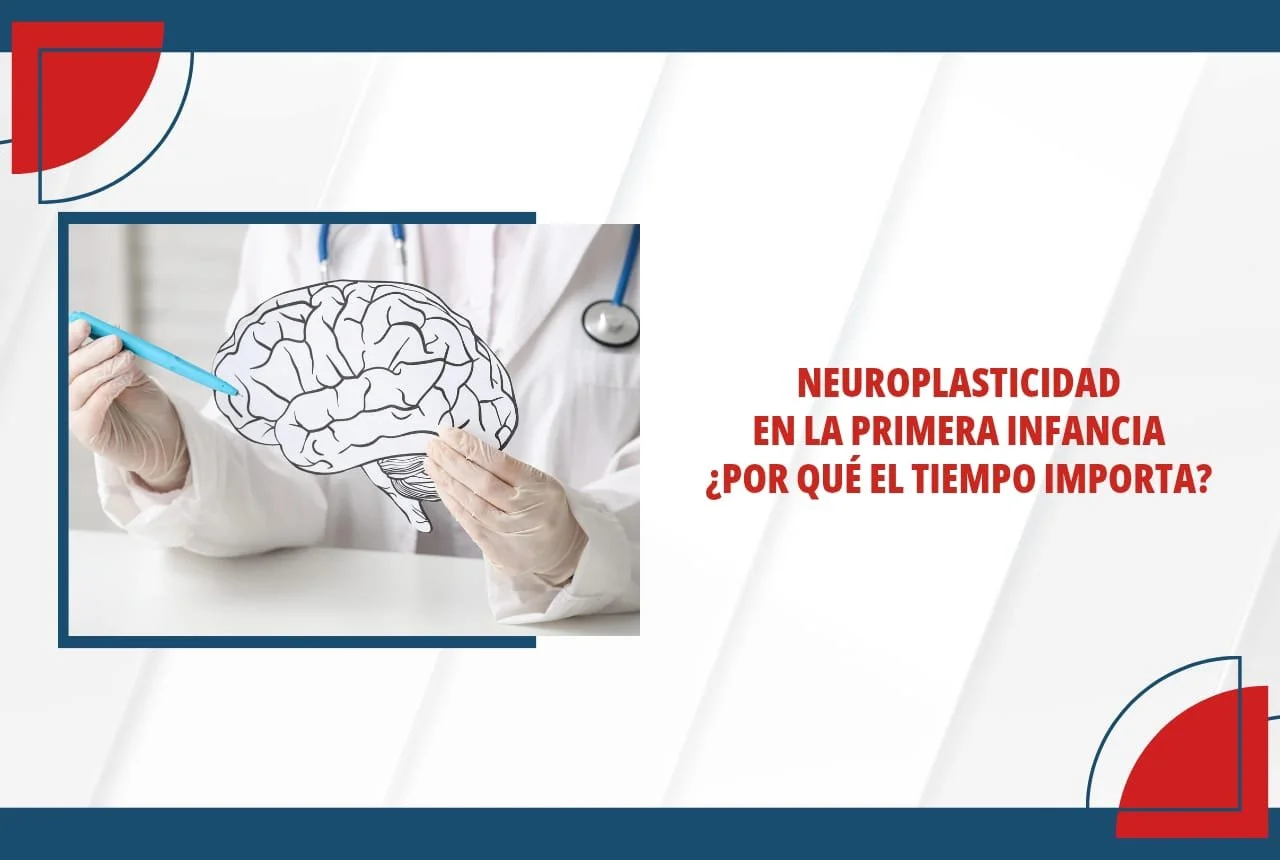 Neuroplasticidad en la primera infancia y ¿por qué el tiempo importa?