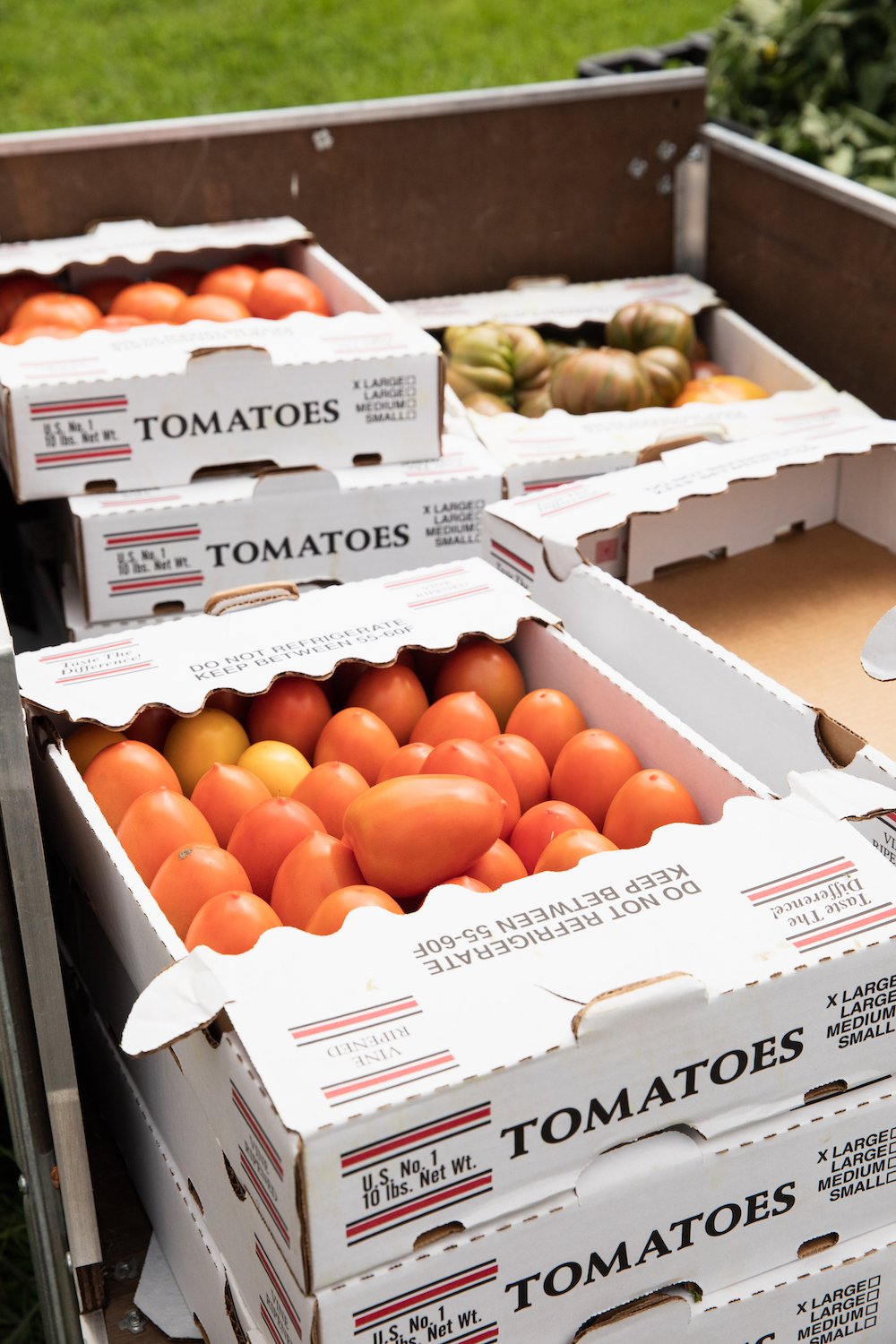 Flats of Organic Tomatoes