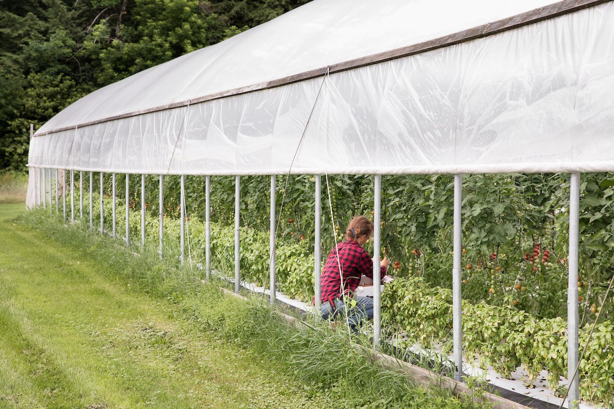 Working in the greenhouse at our Vermont farm.jpg