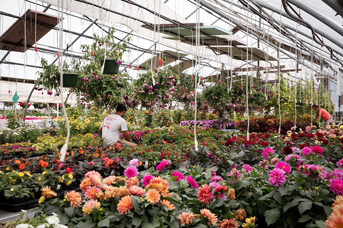 Working in the flower greenhouse at Honey Field Farm in Norwich Vermont.jpg