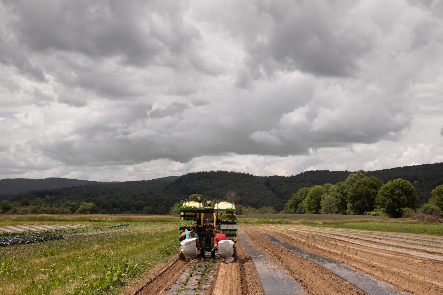 Working at Honey Field Farm, Vermont.jpg