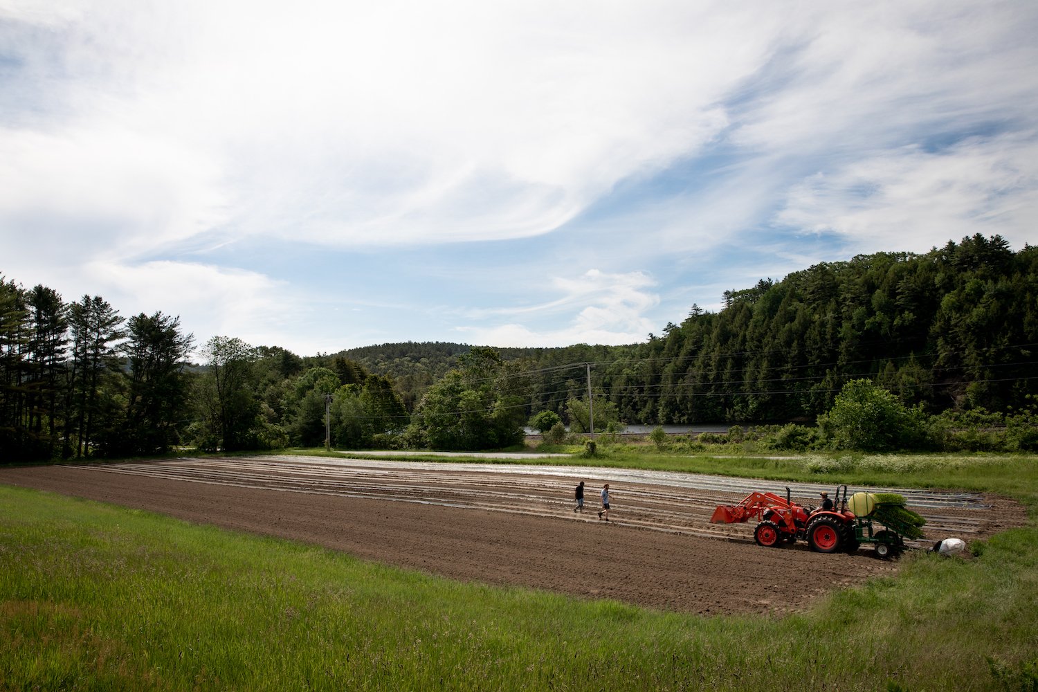 The Field Crew Transplanting at our Vermont Farm.jpg