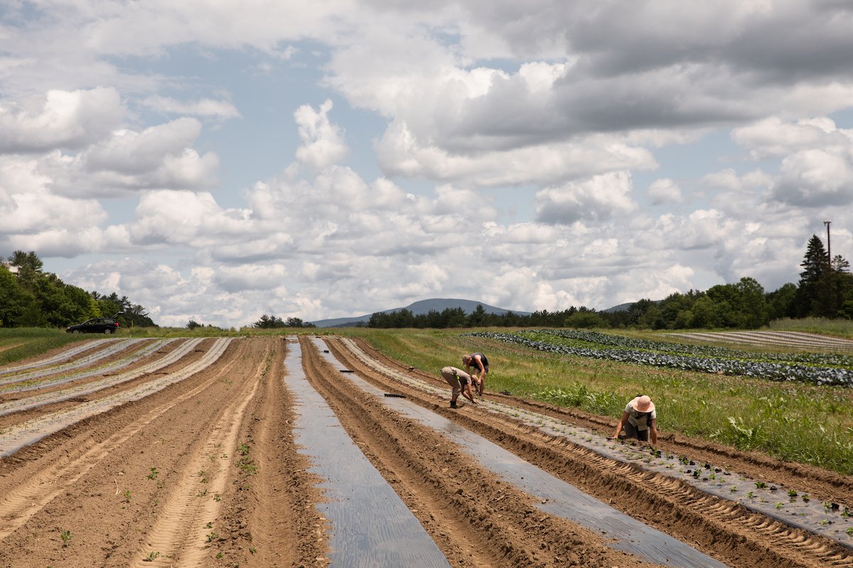 Working at Honey Field Farm, Vermont 3.jpg