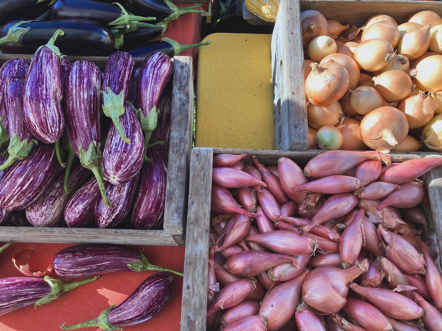 We haven&rsquo;t blown away yet today @norwich.farmers.market and its feeling very much like fall. We have an hour left and lots of goodies left to share. Come by or catch us at the farm stand this weekend. Hope to see you soon! #farmersmarket #vermo