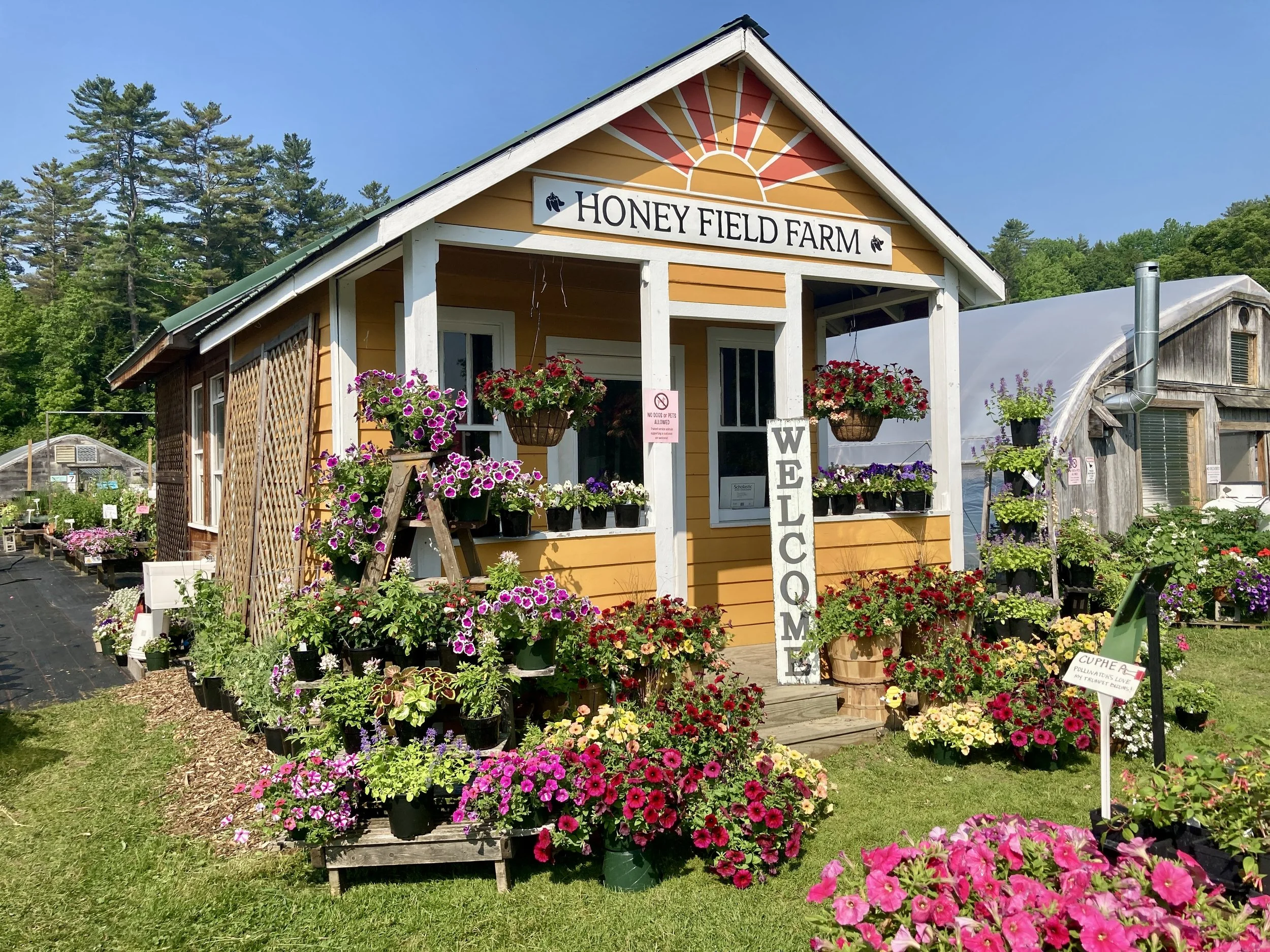 Monday Mini Market June 22