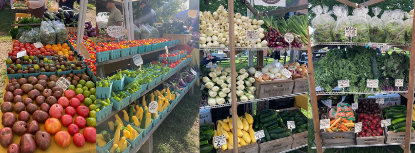 Over 35 varieties of peppers, from sweet to wicked hot! (1).png