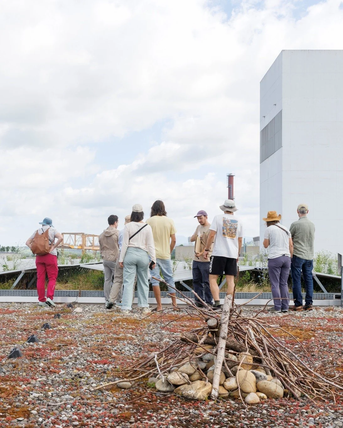 Wer schaut schon auf D&auml;cher? 🌿🏠

Wir nat&uuml;rlich! ☺️ Gemeinsam mit Jascha haben wir die Gr&uuml;nd&auml;cher beim @stuecki_park und auf dem @unispitalbasel erkundet und dabei &uuml;berraschend viel entdeckt. Basel hat mehr Gr&uuml;n &uuml;b