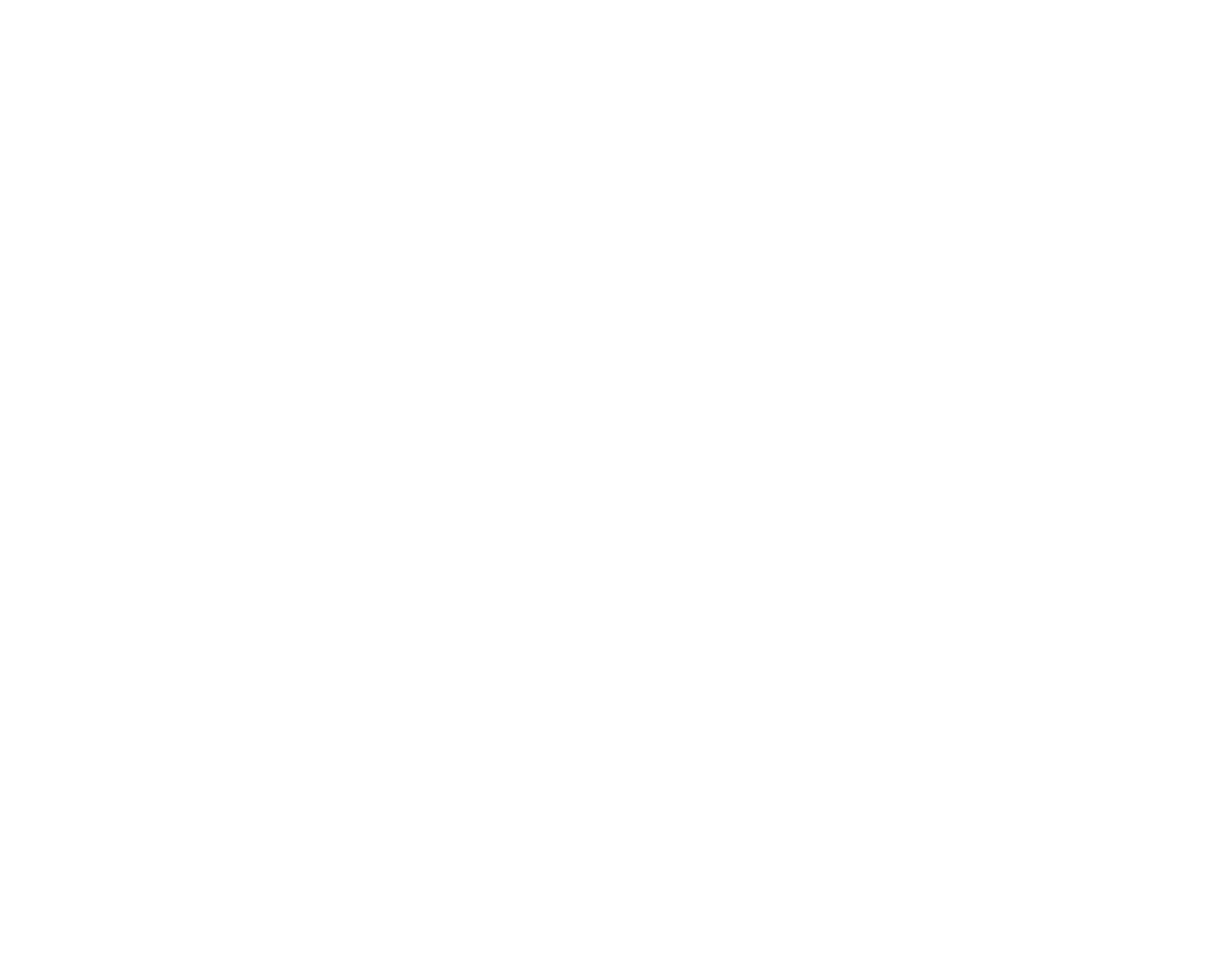 Robison Custom Leather