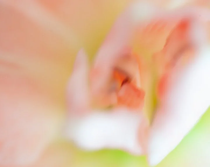 Whispers No-1.jpg