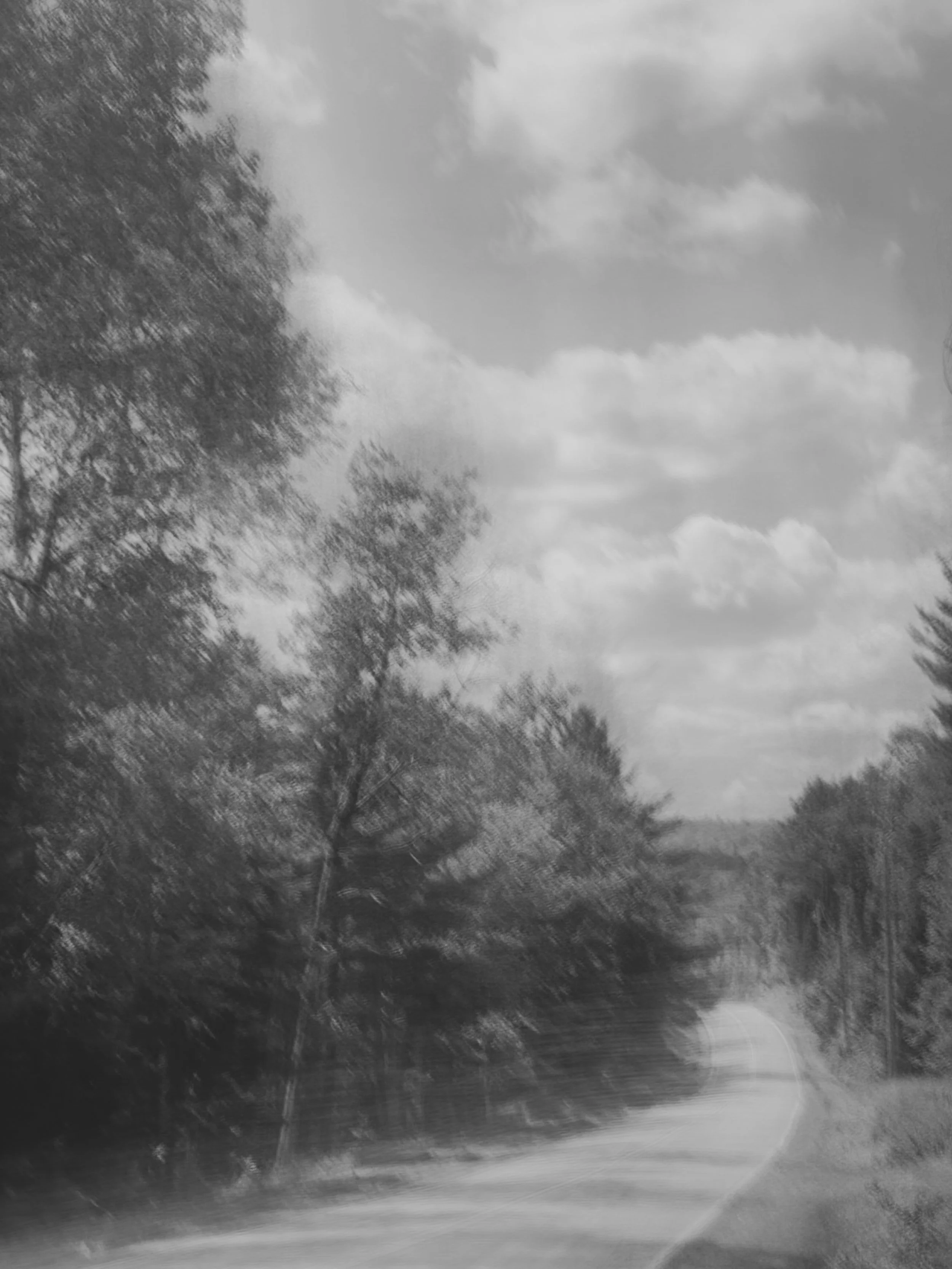 M Rizzuto-3203-2.jpg