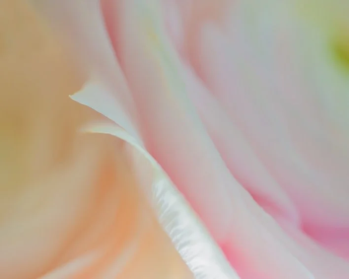 MRP_8087-Edit.jpg