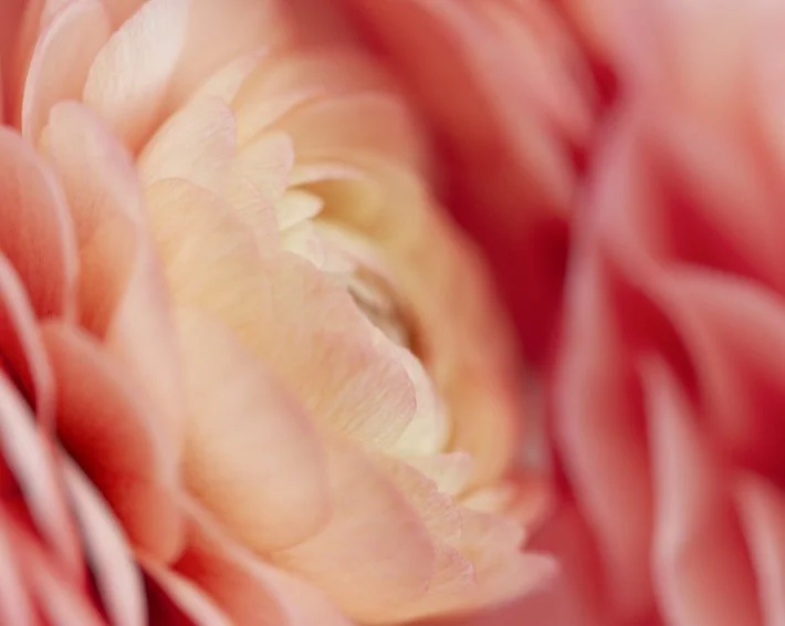 MRP_8079-Edit.jpg