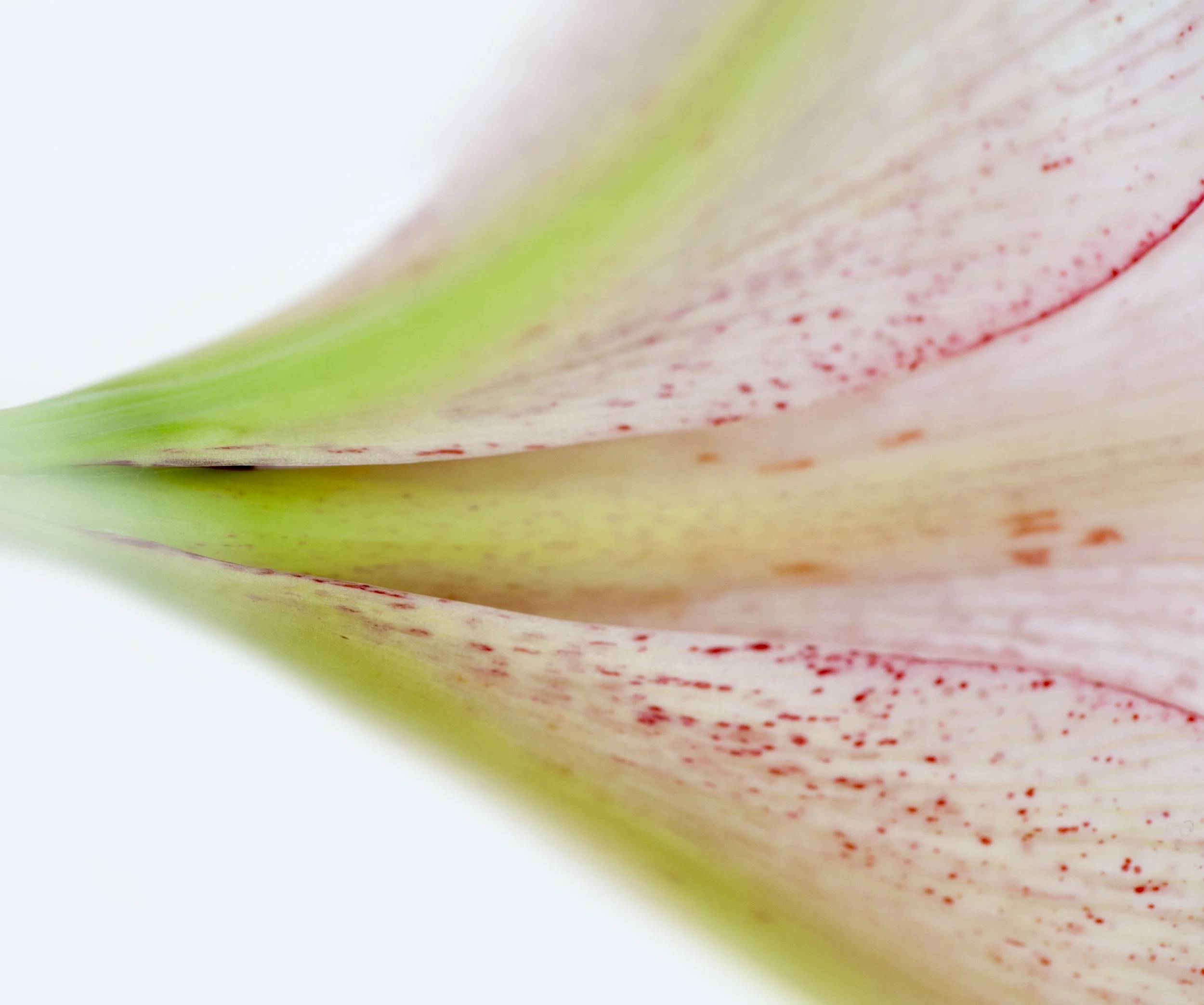 MR -11.jpg