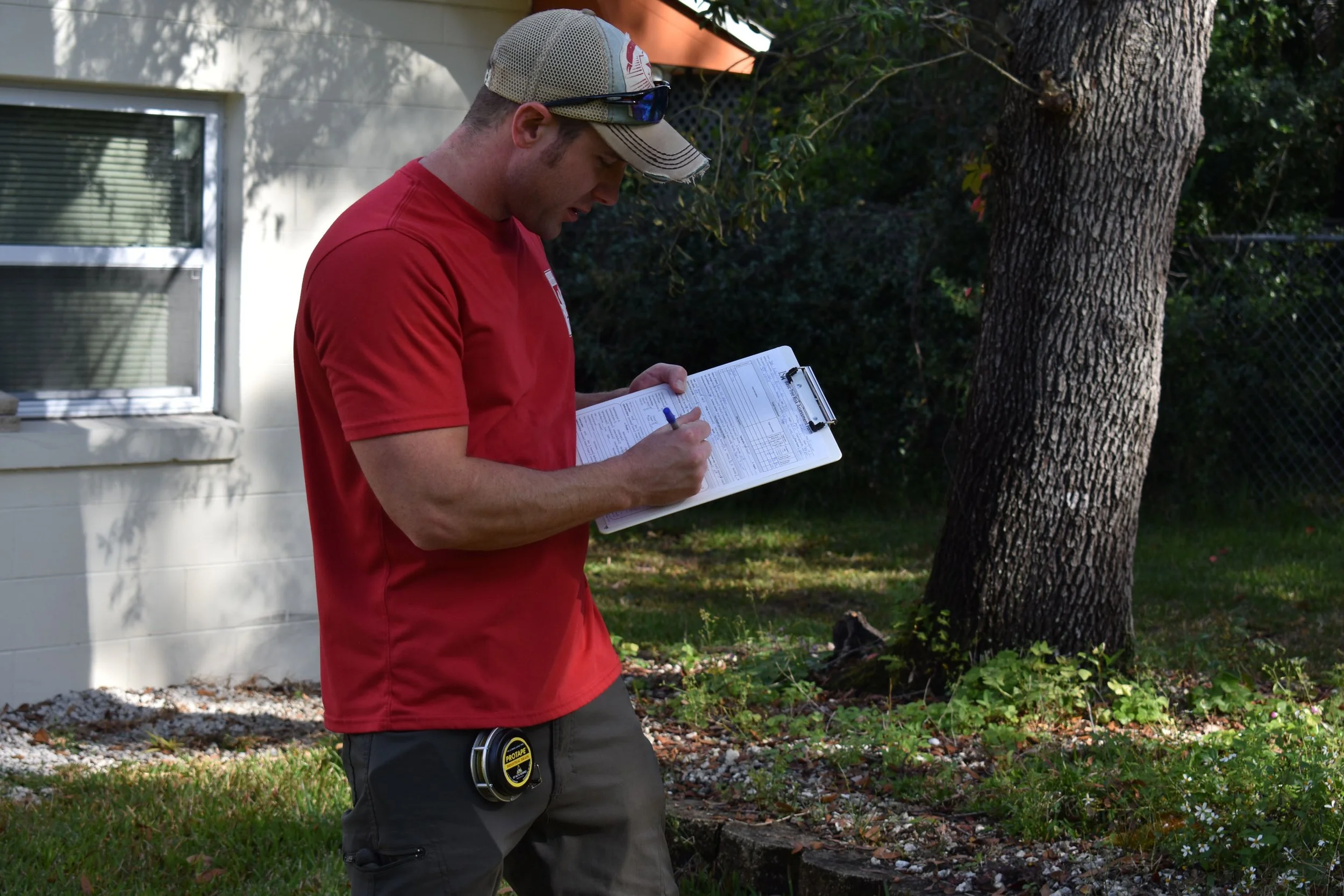 Best tree care in Florida Orlando Maitland Winter Springs