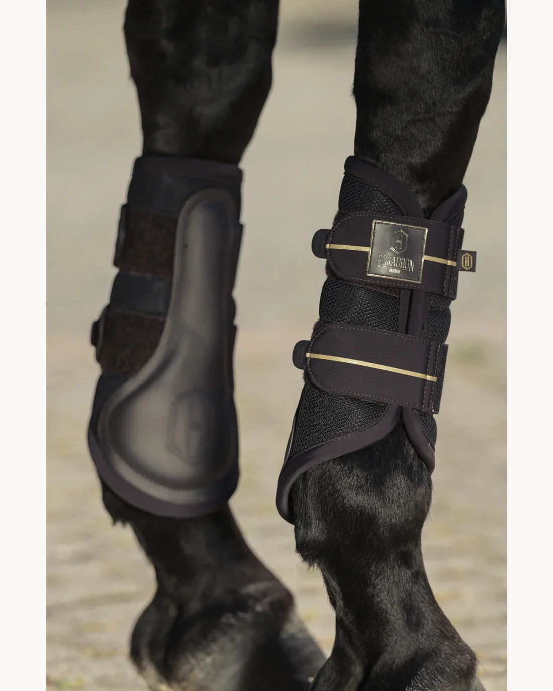 esk_0225_kam_555458_662_090 (1).webp