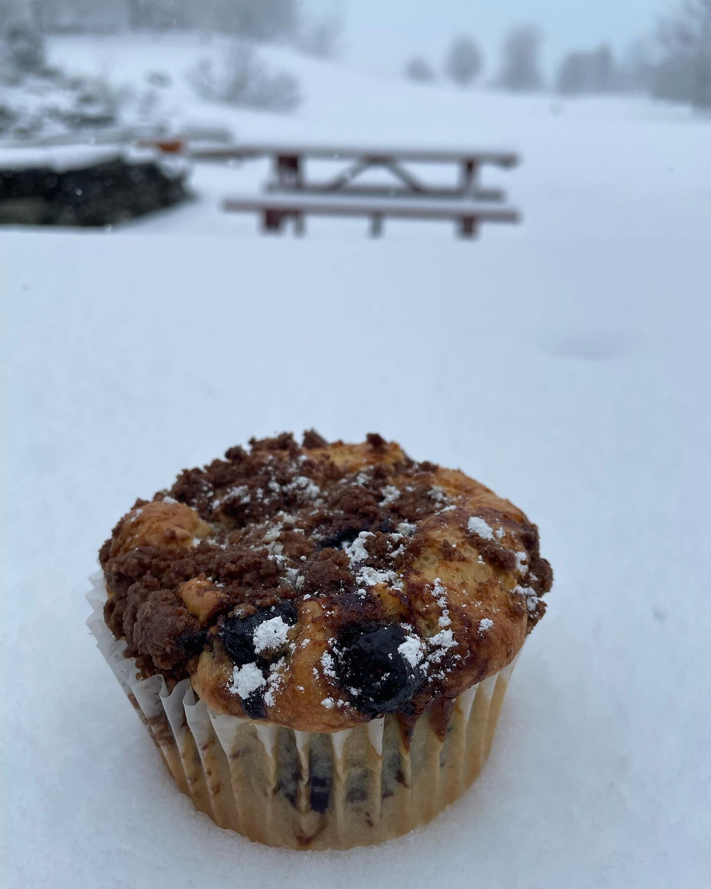 We are open!! 
This is a blueberry streusel muffin aka our wonderful coffee cake in muffin form. I do this when I need something ready in 30 minutes instead of an hour&hellip;. 😆 They are #glutenfree #vegan #nutfree and totally hot out of the oven r