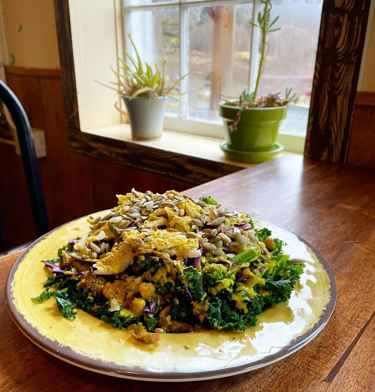 What do Bhava&rsquo;s eat to power through long days on her feet ? The mighty kale salad with falafel patties and swapping the tahini dressing for curry dressing! 
Modifiers to snag this yummy variation now available on our store as well as a sub cur