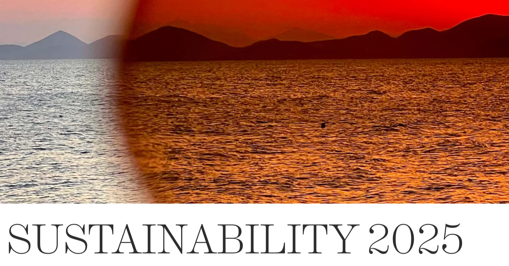 
Rat & Boa Sustainability Report 2025: 
Building for the future. Rat & Boa onboarded all Tier 1 suppliers onto The Chain platform, launched Digital Product Passports, established full carbon visibility, and began B Corp certification process.