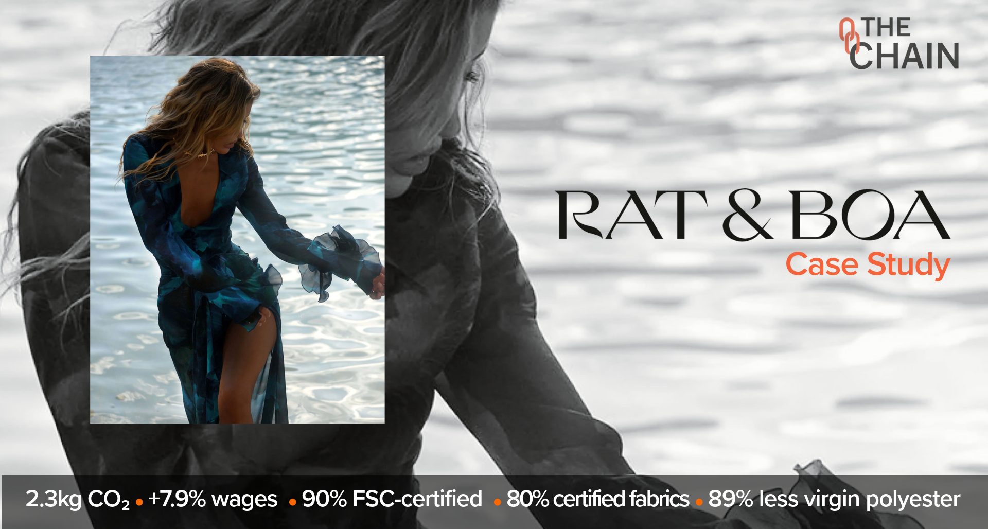 Case Study: Rat &amp; Boa x The Chain Platform
