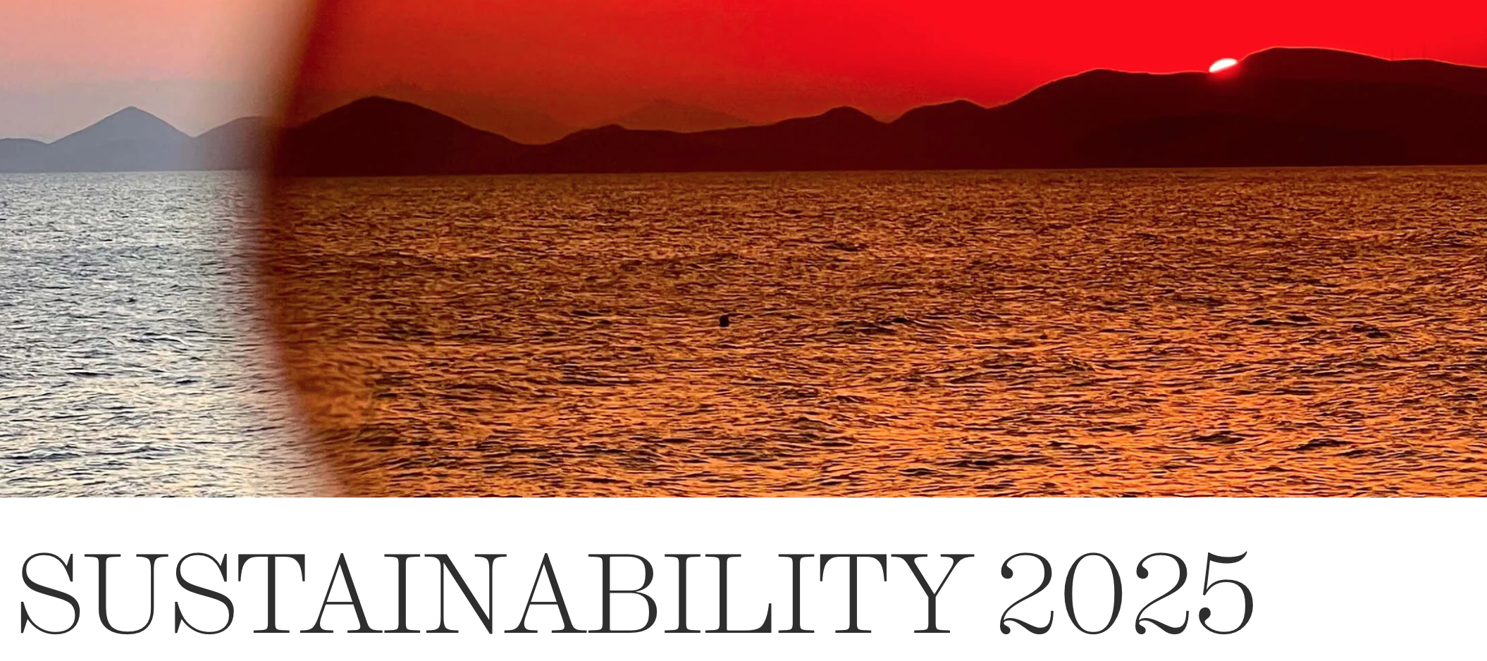 Rat and Boa Sustainability Report 2025