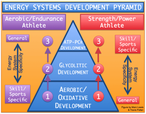 Energy System Development in Team Sports: Part 1 - APA Training Systems