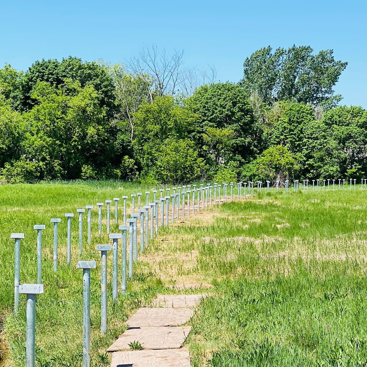 Exciting trail connections in the making.  #panacadietrail #moncton #viridis