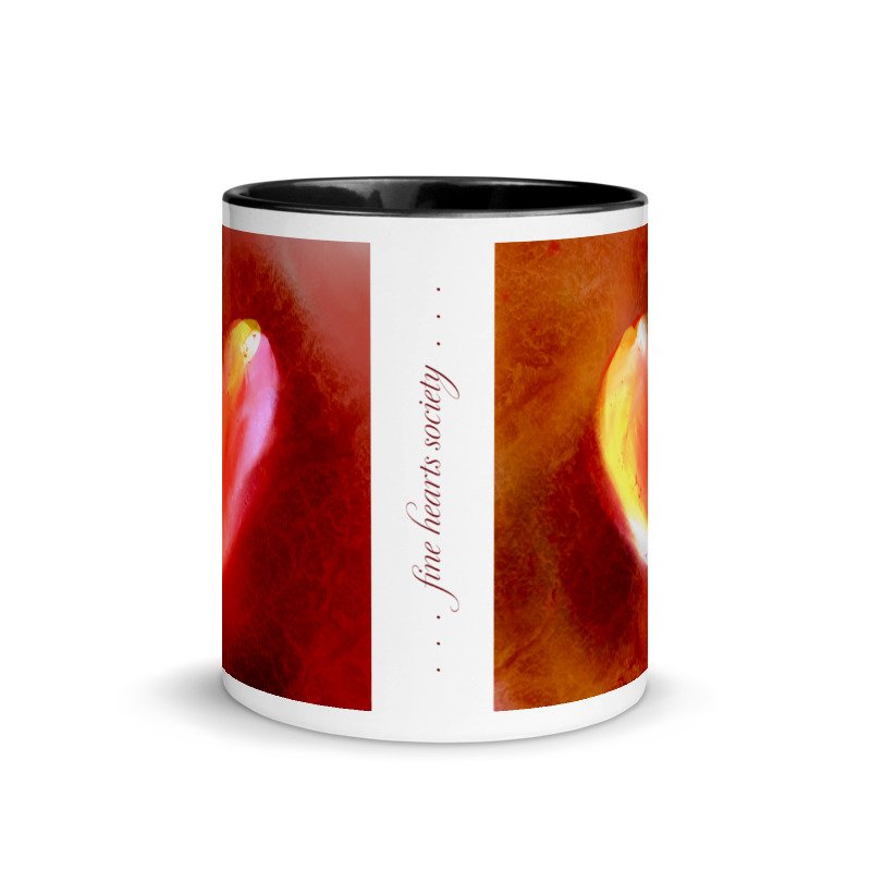 fhs-red-white-ceramic-mug-with-color-inside-black-11oz-front-623b50979d34b.jpg