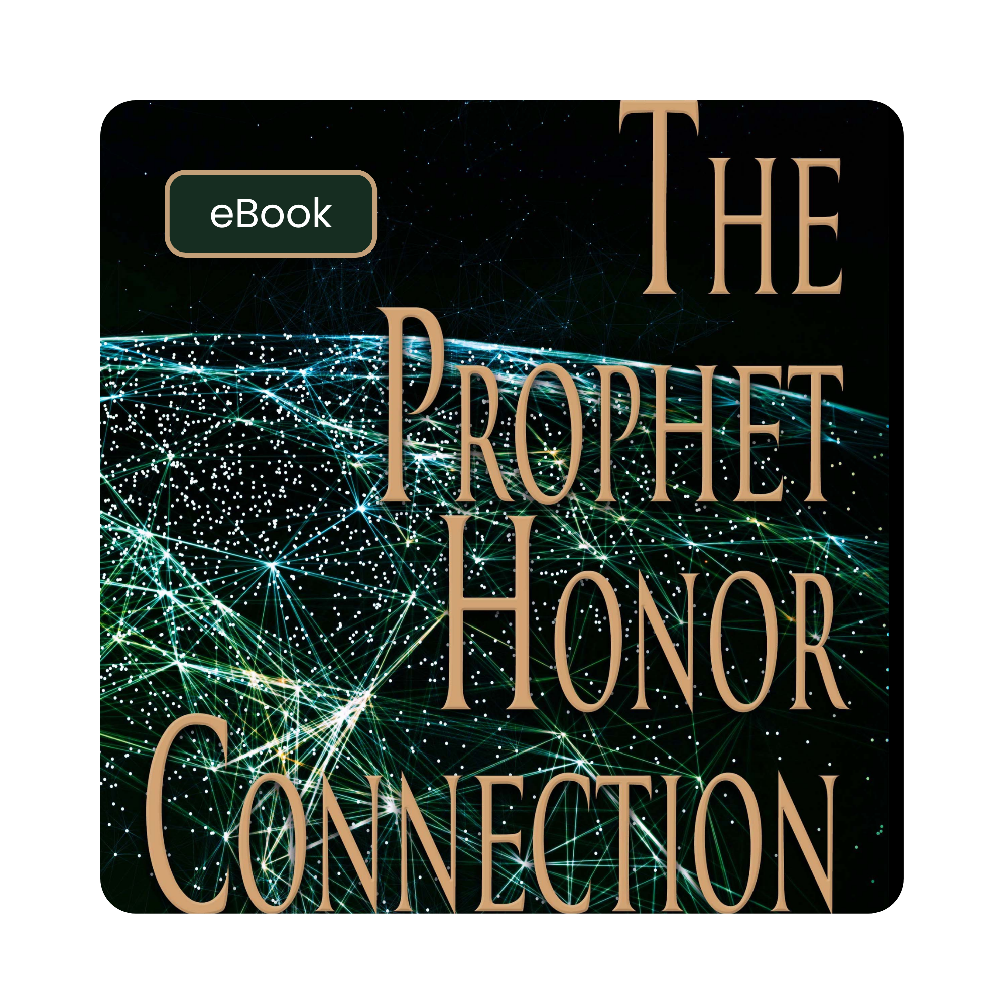 The Prophet Honor Connection - eBook