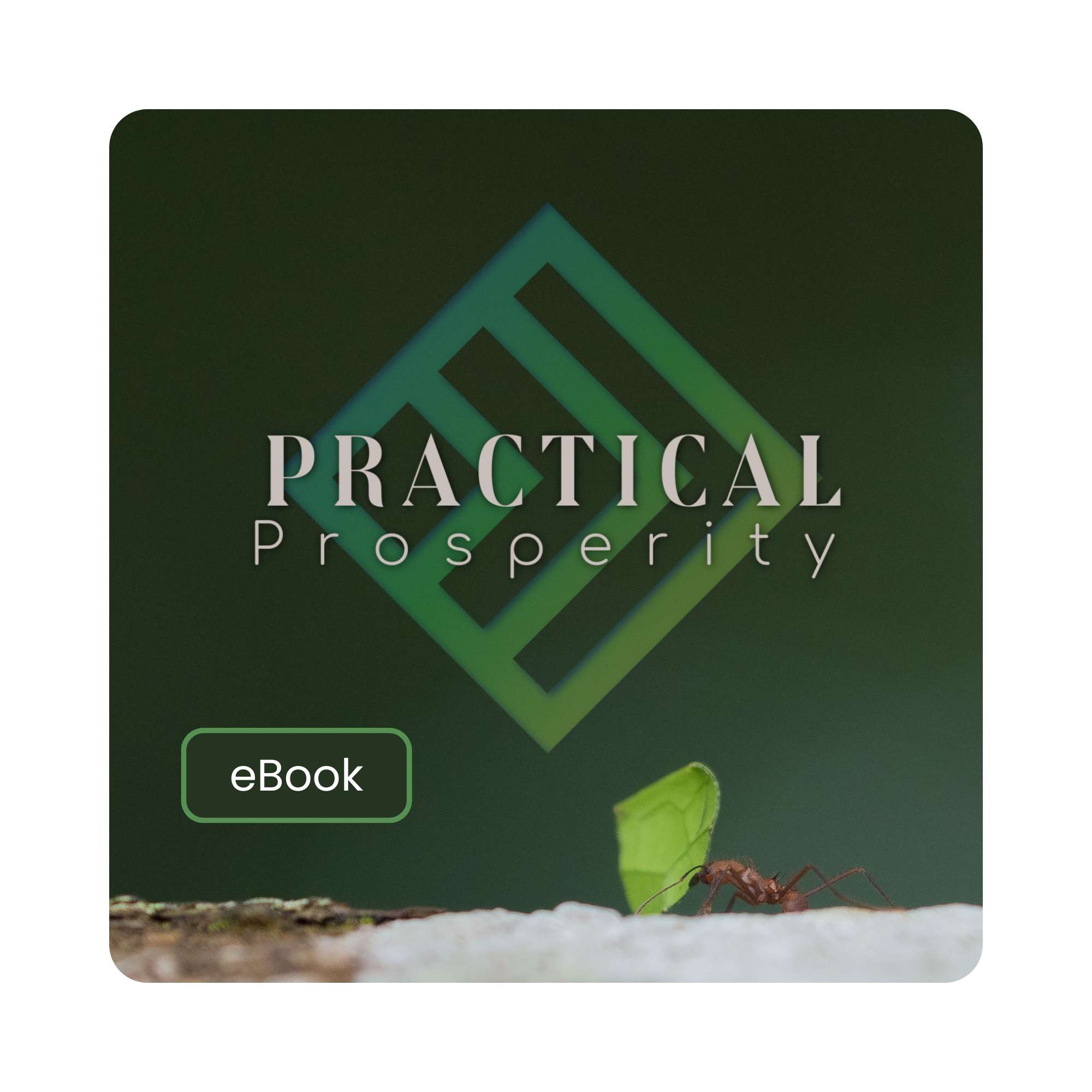 Practical Prosperity - eBook