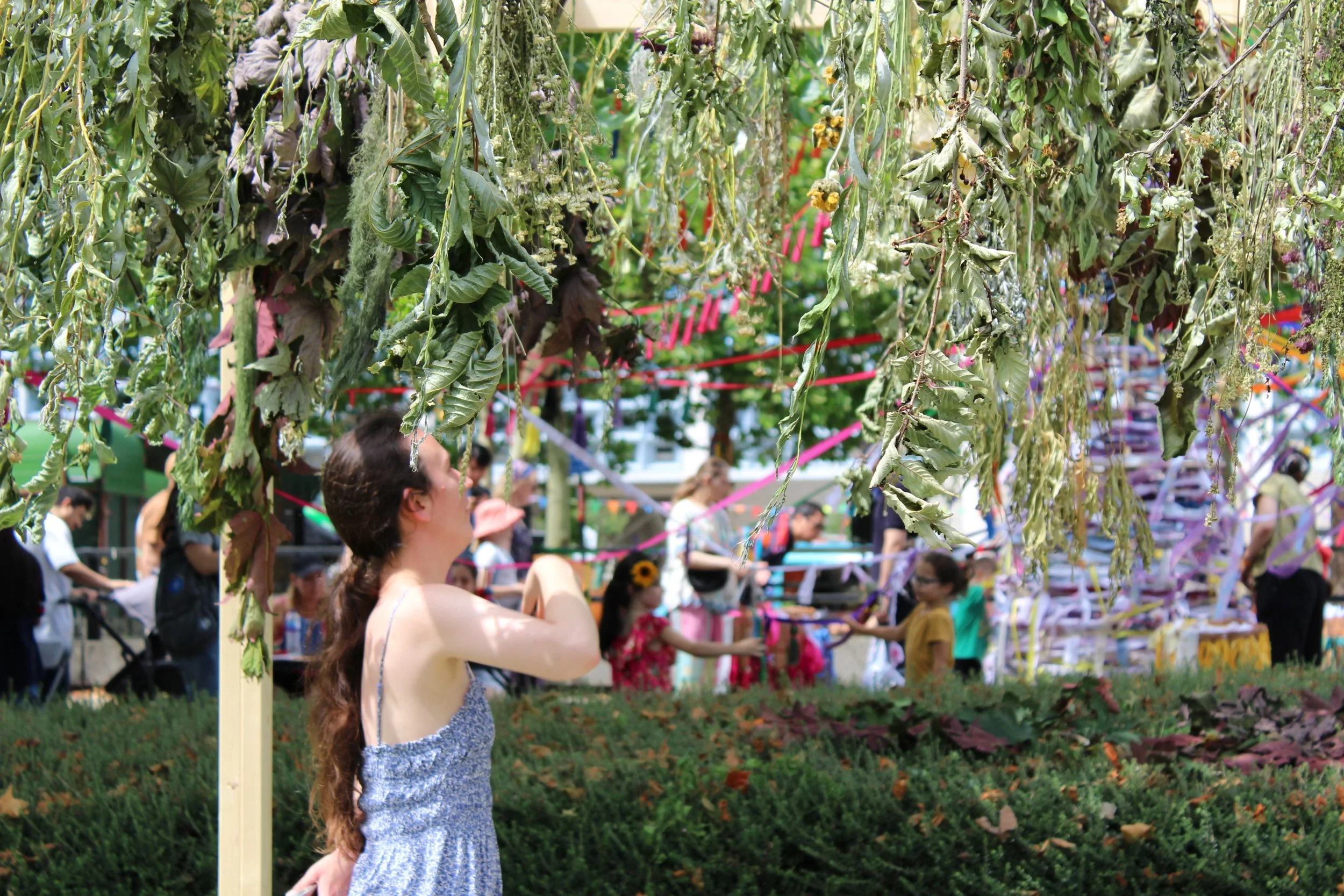 ASFRmelundertheplants.jpeg