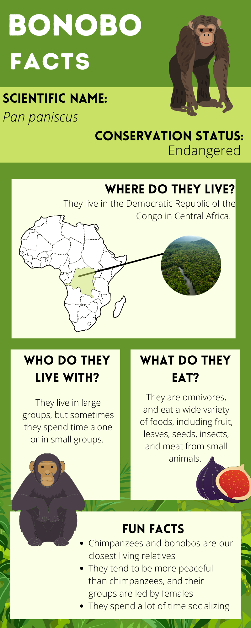 Bonobo Factsheet-2.png