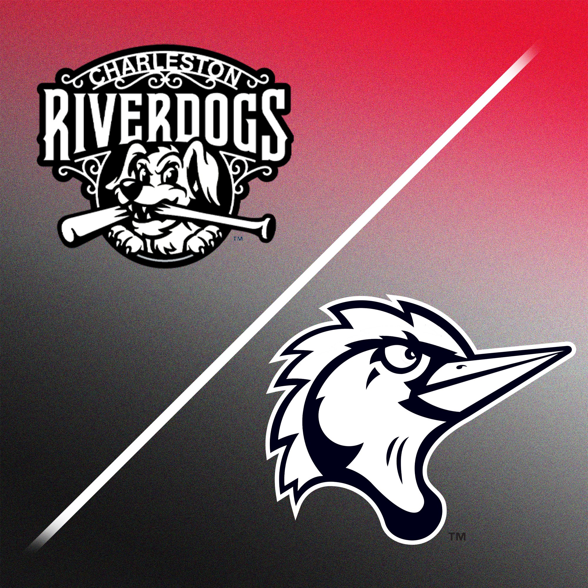 Military Appreciation Night with the River Dogs