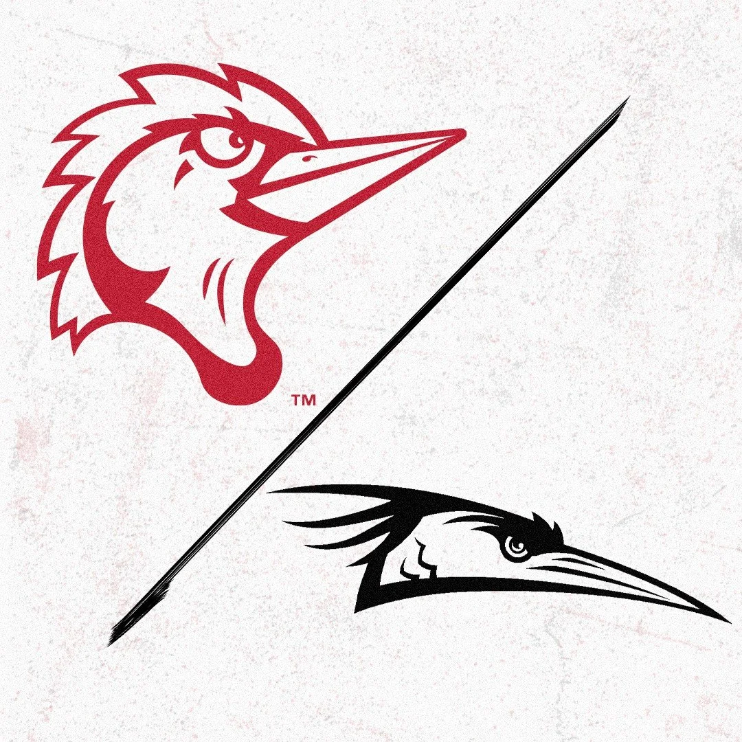 Fayetteville Woodpeckers vs. Delmarva Shorebirds